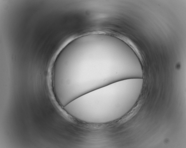 X0000102770859200808180953
