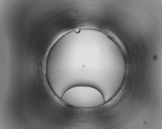 X0000102770860200808180953
