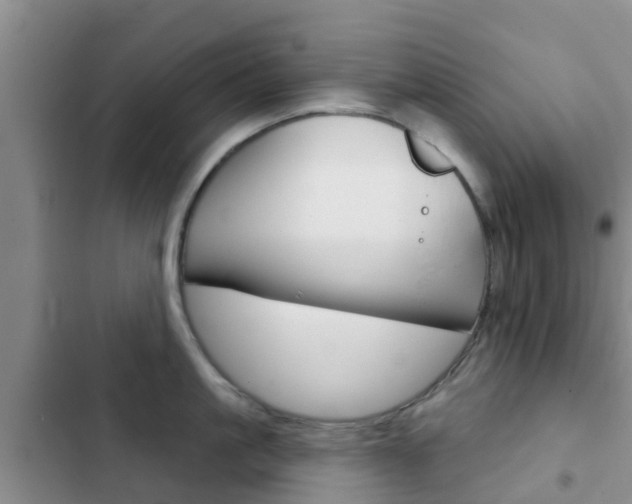 X0000102770861200808180953
