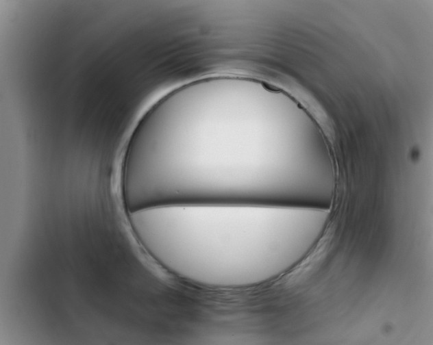 X0000102770862200808180953