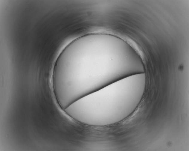 X0000102770863200808180953
