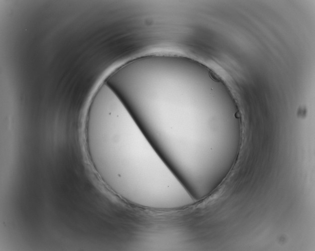 X0000102770864200808180953