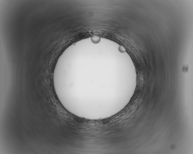 X0000102770865200808180953