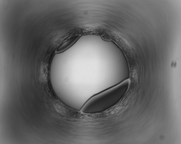 X0000102770868200808180953
