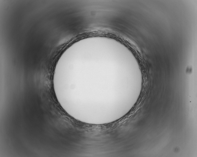 X0000102770869200808180953