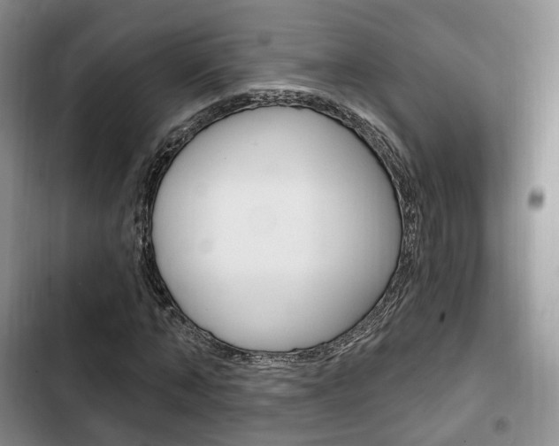 X0000102770870200808180953
