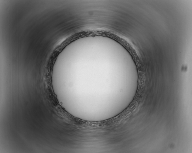 X0000102770871200808180953