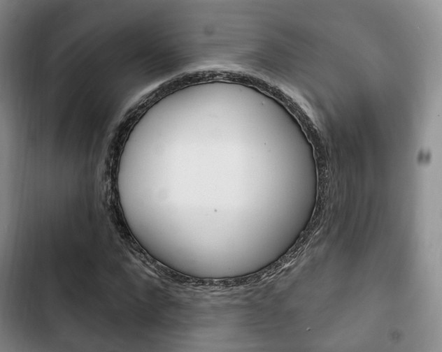 X0000102770872200808180953
