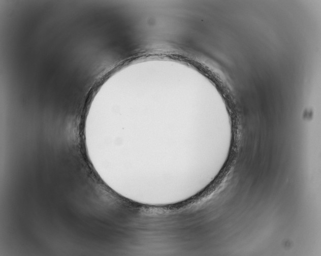 X0000102770873200808180953