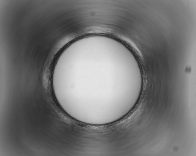 X0000102770874200808180953