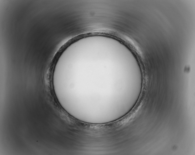 X0000102770875200808180953