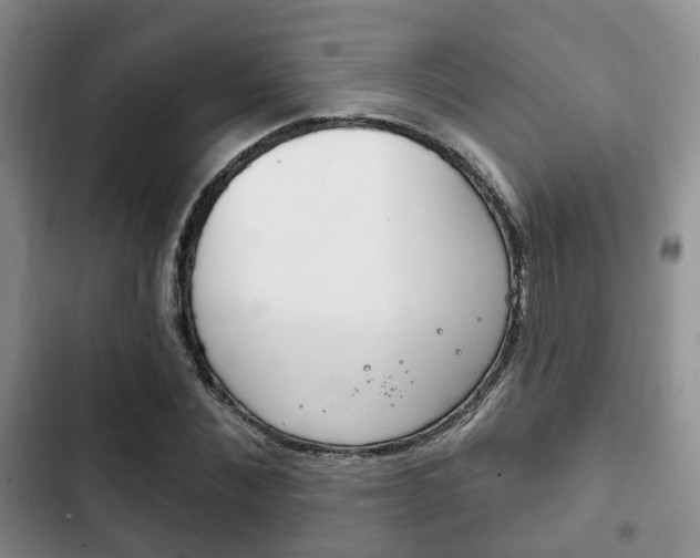 X0000102770876200808180953