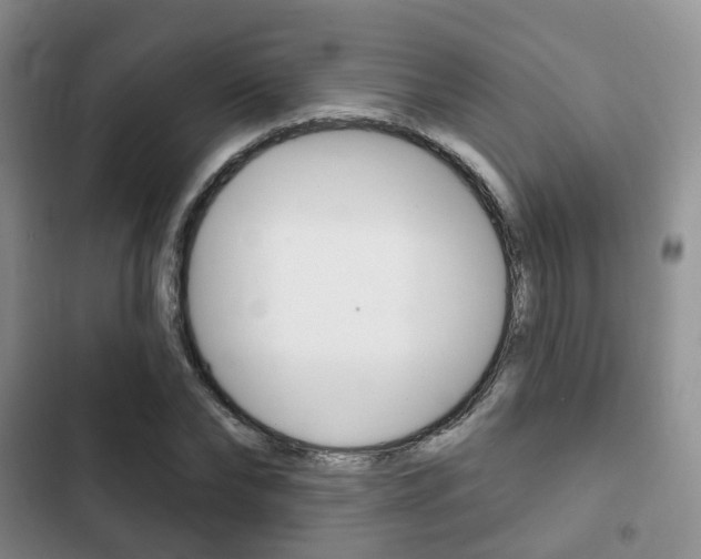 X0000102770878200808180953