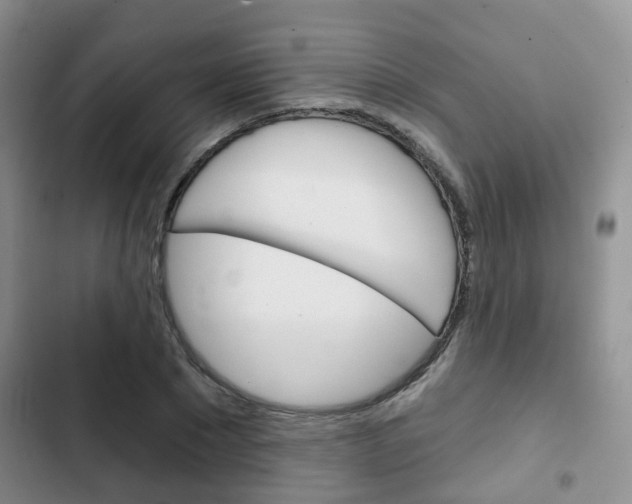 X0000102770881200808180952