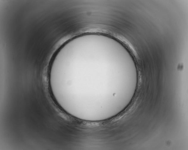 X0000102770882200808180952