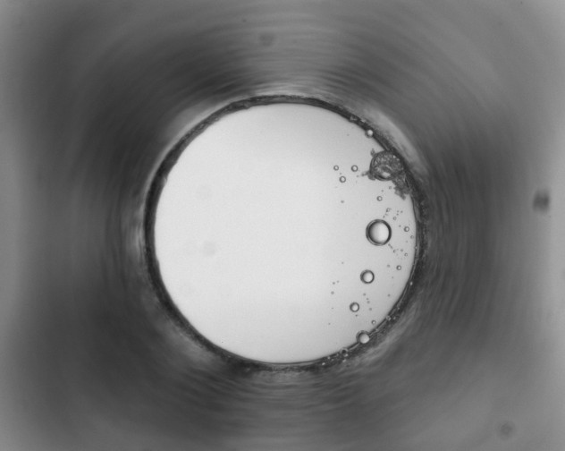 X0000102770884200808180952
