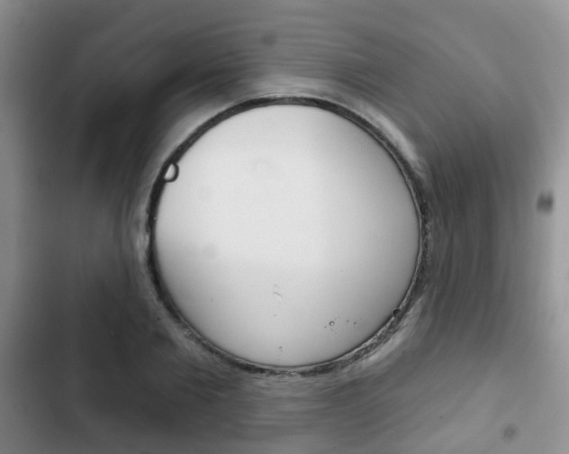 X0000102770885200808180952