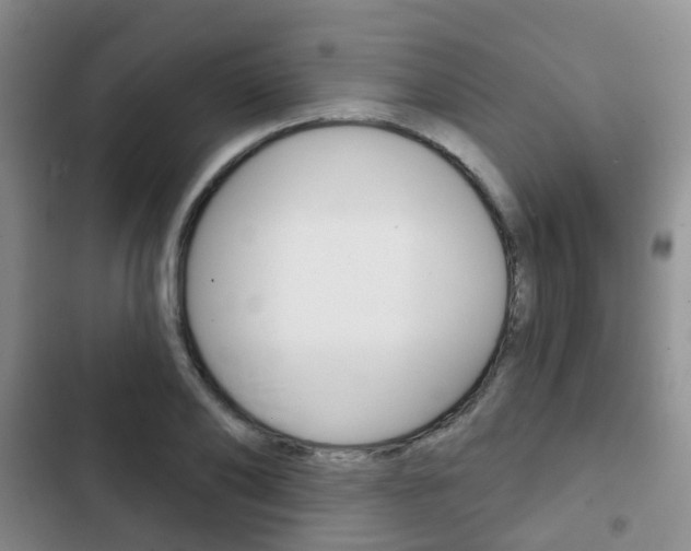 X0000102770886200808180952