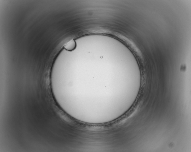 X0000102770889200808180952