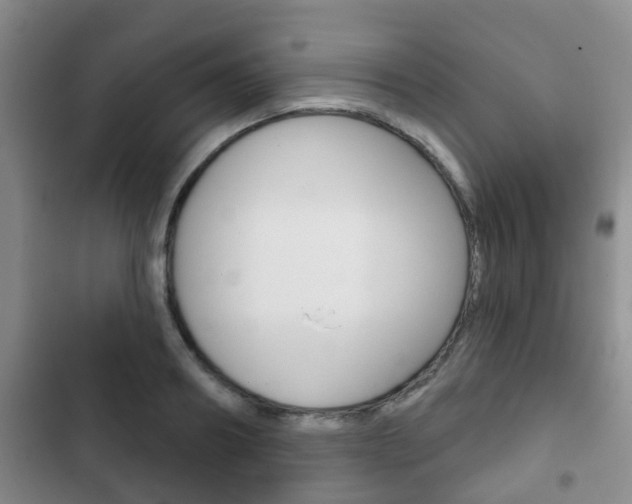X0000102770890200808180952