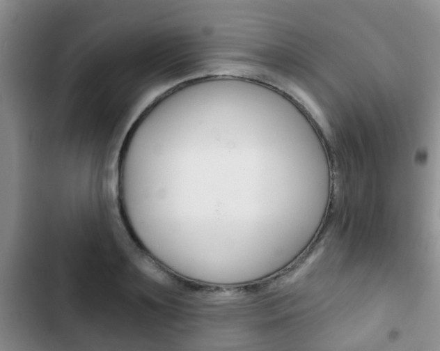 X0000102770891200808180952