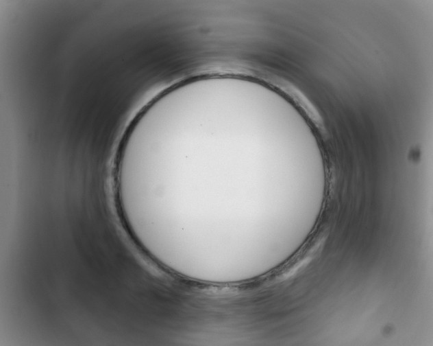 X0000102770893200808180952