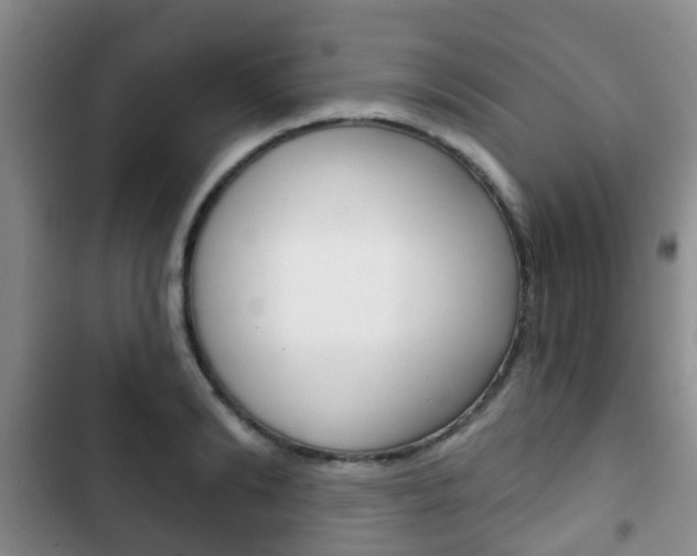 X0000102770894200808180952