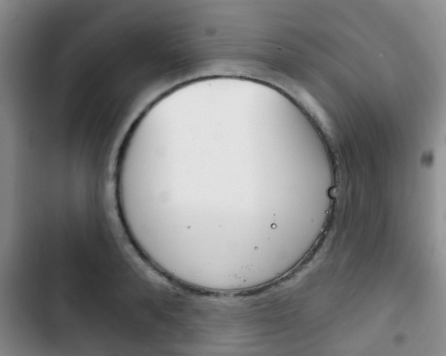 X0000102770896200808180952