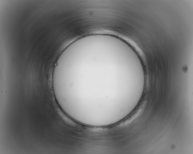 X0000102770897200808180952