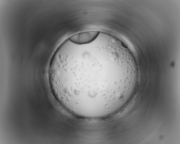 X0000102770899200808180952