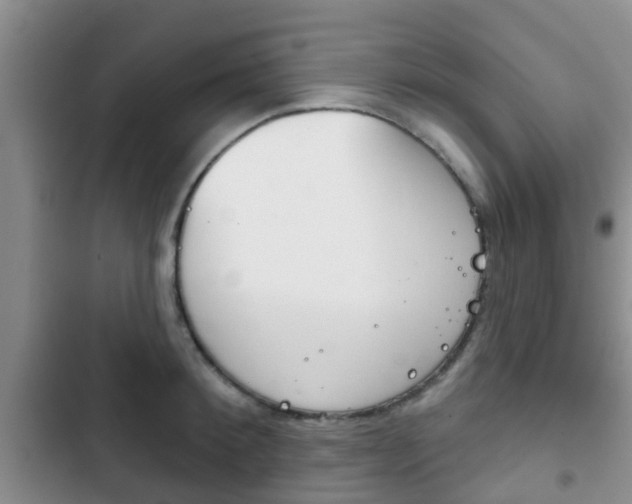 X0000102770900200808180952