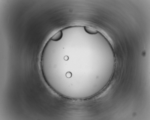 X0000102770901200808180952