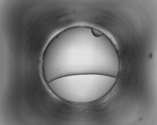 X0000102770903200808180952