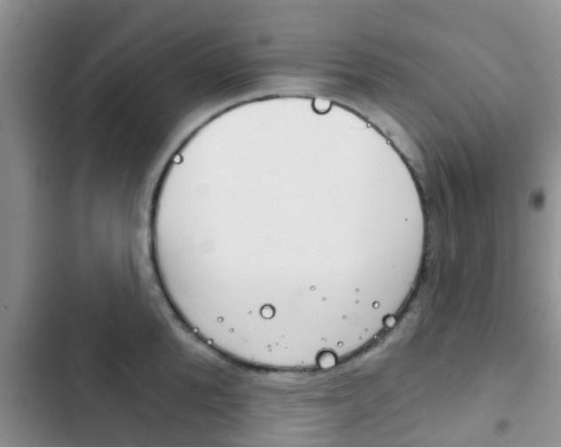 X0000102770904200808180952