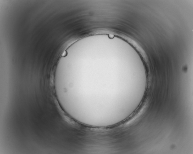 X0000102770905200808180952