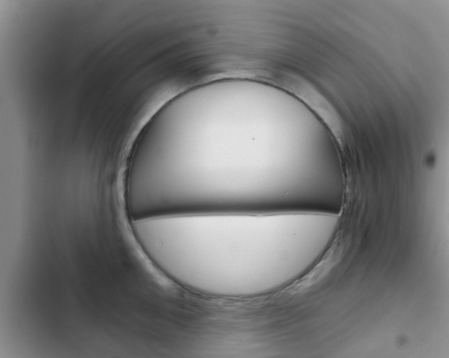 X0000102770906200808180952