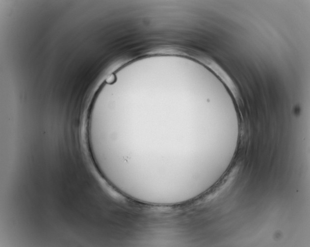 X0000102770909200808180952