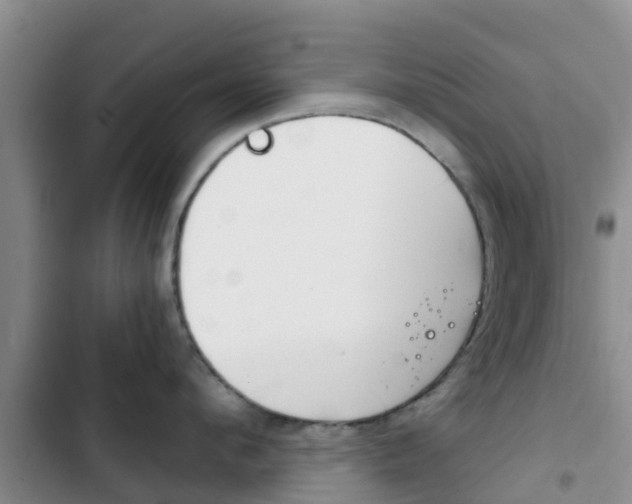 X0000102770912200808180952