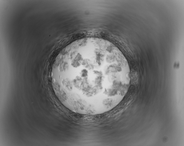 X0000102770913200808180951
