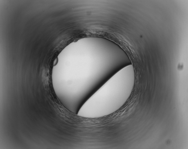 X0000102770915200808180951