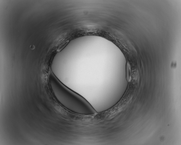 X0000102770916200808180951