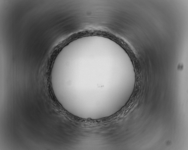X0000102770919200808180951