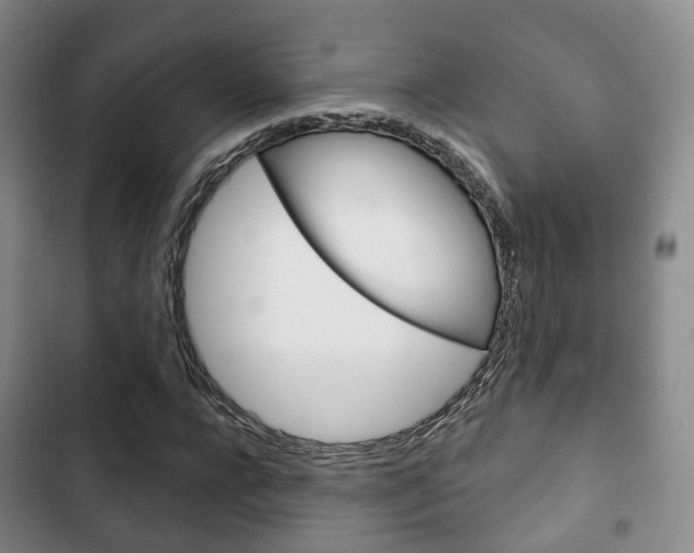 X0000102770920200808180951