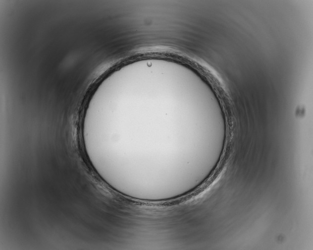 X0000102770921200808180951