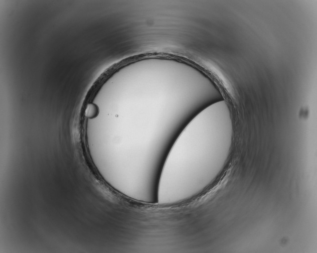 X0000102770924200808180952