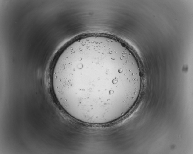 X0000102770925200808180952