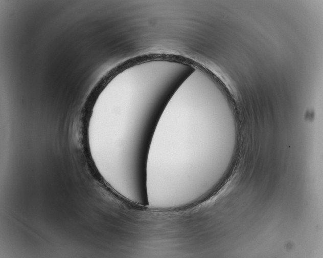 X0000102770926200808180952