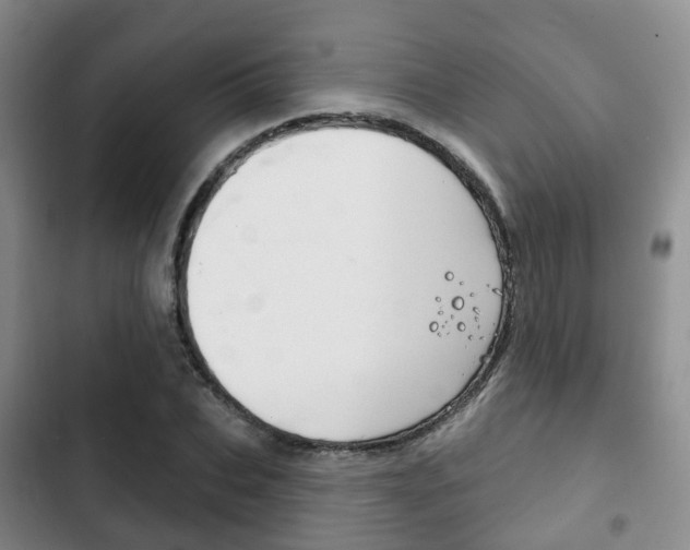X0000102770927200808180952