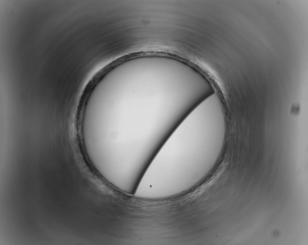 X0000102770928200808180952