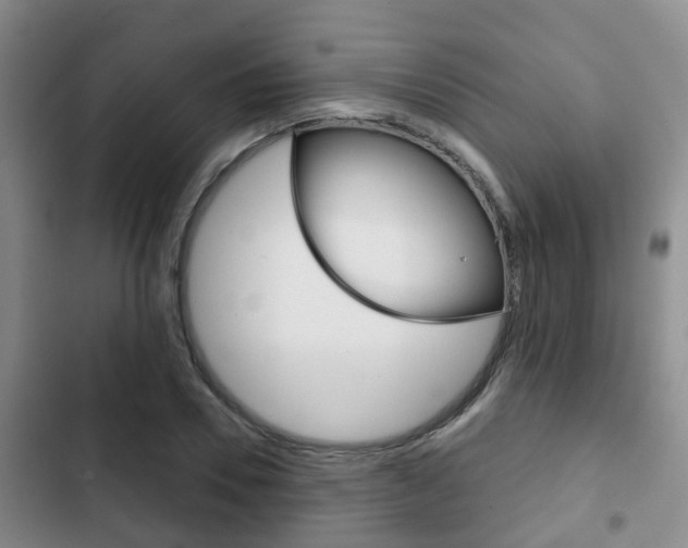X0000102770930200808180952